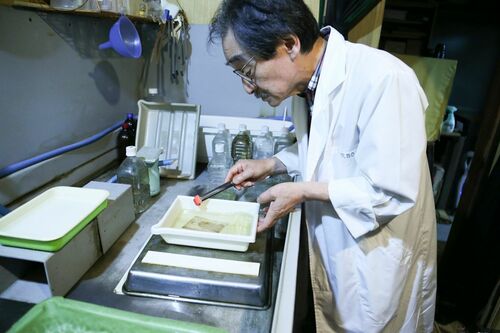 今回、修復したのは父の若いころの写真　撮影／森田晃博