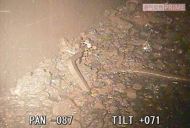 2号機の原子炉格納器の底付近には、溶け落ちたデブリとみられる堆積物が　写真提供／東京電力
