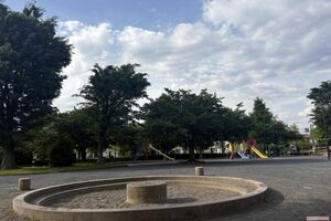 母子宅近隣には大規模な公園が複数ある。子どもたちが遊具やボールで遊ぶ光景が微笑ましい