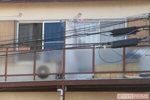 現場の目黒のアパートで、両被告の子どもである結愛ちゃんの弟は可愛がられていた