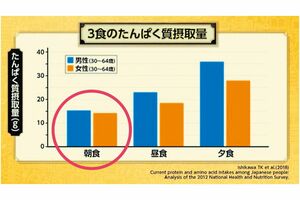 3食のたんぱく質摂取量の男女別データ。日本人は朝食時の摂取量が最も少ない