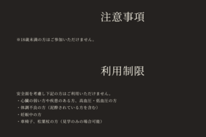 大人しか入れない拷問屋敷（R-18）※公式サイトには注意書きが