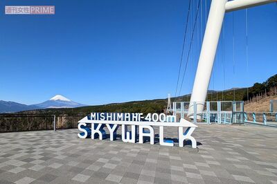 三島スカイウォーク「ネコとおでかけ」イベントが批判殺到で急遽中止になり施設の見解は、《犬はいいのに》…