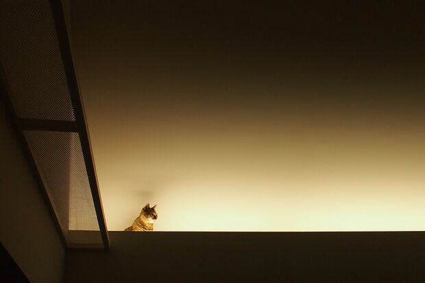 写真提供／木津イチロウさん