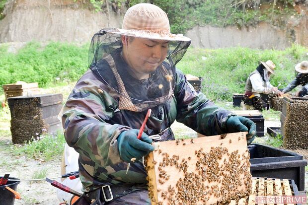 転地養蜂家　西垂水栄太さん　撮影／伊藤和幸