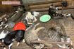 すっかり猫部屋となっていた一室。空気清浄機が置かれている部屋もあったが……