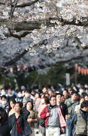 “コロナ疲れ”や“緩み”だったのだろうか。桜満開の上野公園には大勢の花見客が訪れた（3月22日）