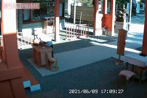 6月9日の平容疑者=秩父今宮神社提供