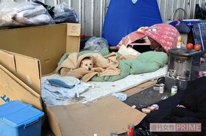 主人のいない布団の中から顔を出すワンコ 写真提供/村田らむ氏