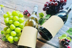 ※写真はイメージです