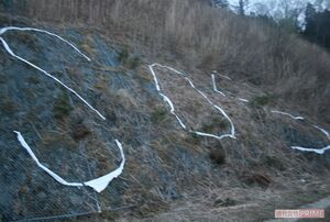 災害直後は断水などの情報を求める声が多数