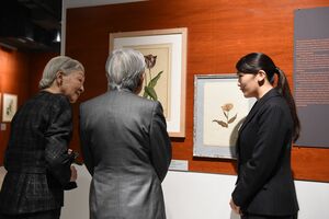 上皇ご夫妻を自身が勤務する博物館で案内される眞子さま('17年12月)