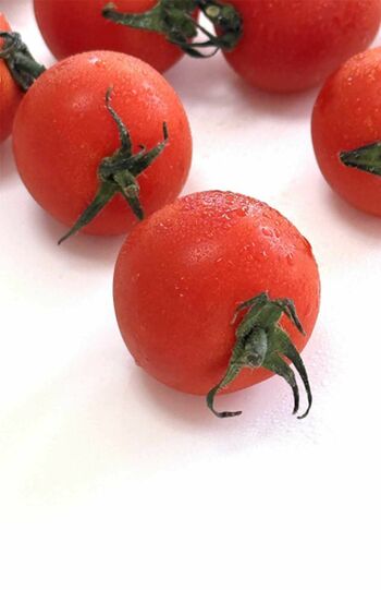 浜木綿子さんが大好きで毎日食べているミニトマト（写真はイメージです）