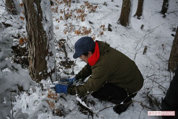 くくり罠の仕掛けの最終確認をする安田さん。罠を雪で隠してカモフラージュして完成