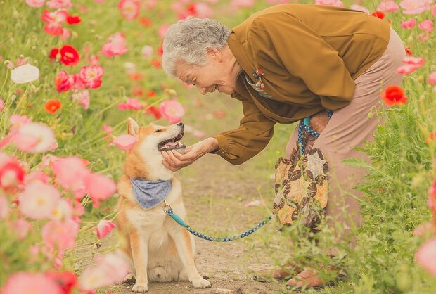 おばあちゃんと愛犬・福ちゃんの間には強い絆が感じられる　提供：YASUTO