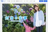 多部未華子主演『対岸の家事』から学ぶ「妻にも稼いでほしい」男…