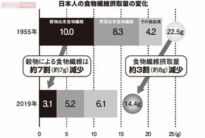 日本人の食物繊維摂取量の変化　グラフィック／スヤマミヅホ