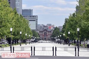 東京駅丸の内前広場から続く「行幸通り」のイチョウ並木は、これからが見ごろ　撮影／渡邉智裕