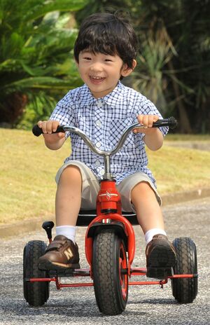 2009年8月、翌月に3歳となられる悠仁さまは楽しそうに三輪車をこがれた