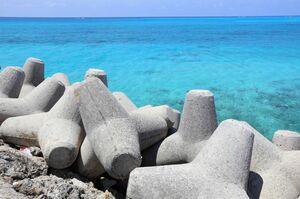 登りにくそうなテトラポッド