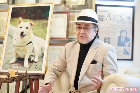 日本のセラピードッグ第1号のチロリの写真や表彰状が事務所には多数飾られている