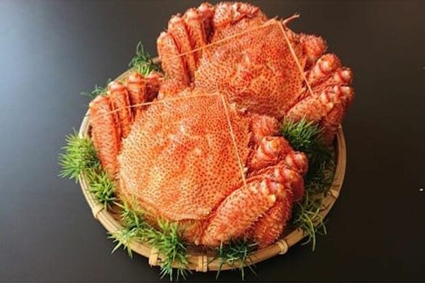 北海道根室市の返礼品、浜ゆで毛蟹はぜいたくな味と量でコスパも◎