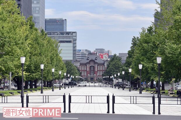 東京駅丸の内前広場から続く「行幸通り」のイチョウ並木