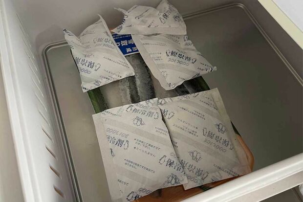 保冷剤で急速冷凍