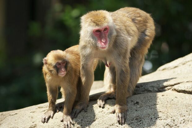 ※写真はイメージです