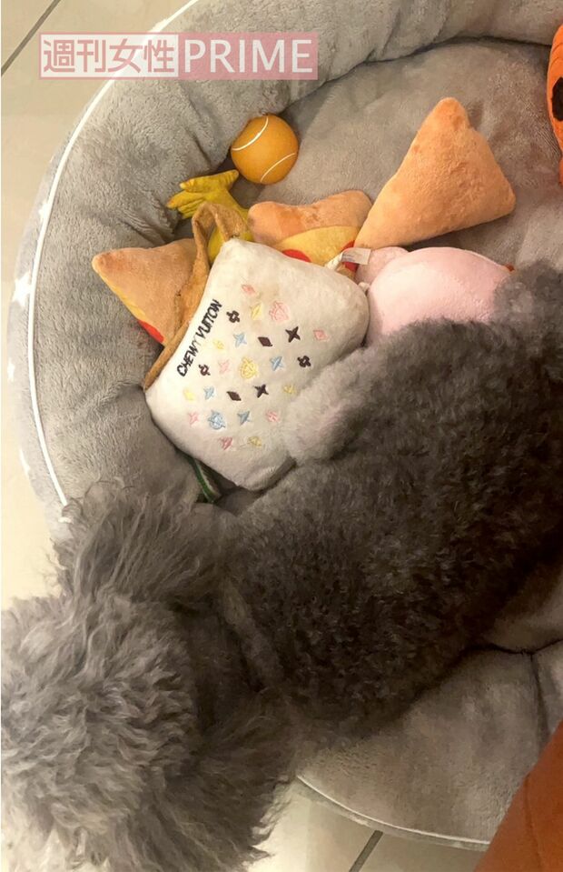 撮影／加藤綾菜