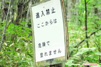 コロナ禍で流行の“都市近郊登山”は高い山より危険!秋の山で遭難しない7つの鉄則