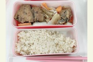 会社員時代、毎日持参していたというお弁当。写真のメニューはサバ缶と冷凍野菜。時間や手間がかからず、ネットでまとめ買いできるおかずをセレクトしている（写真：ふゆこさん提供）
