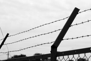 ※写真はイメージです