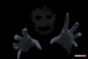 ※写真はイメージです