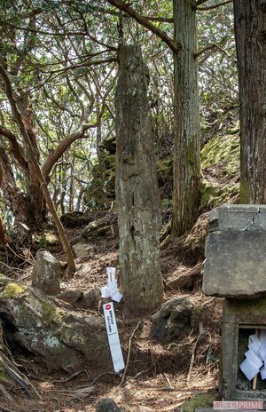 日本最強 パワースポット 茨城県日立市の 御岩神社 の謎に迫る 週刊女性prime