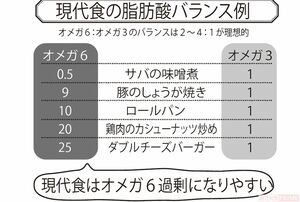 現代食の脂肪酸バランス例