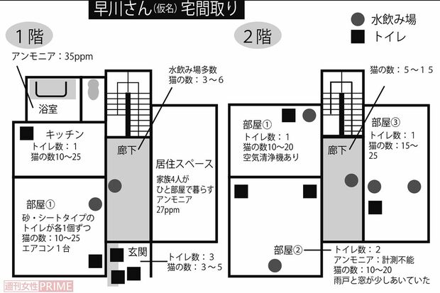 関係者の証言をもとにまとめた間取り図。家族は1階のひと部屋でのみ生活、あとは猫が自由に往来。2階が特にアンモニア濃度が高く、押し入れには糞尿にまみれた布団が……