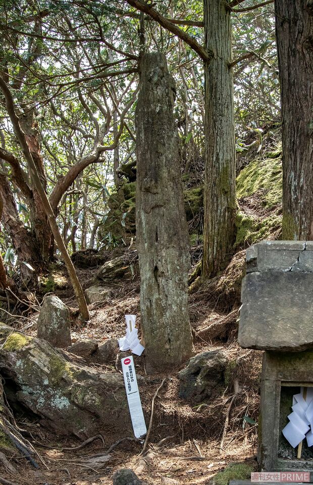 御神体の御岩山山頂は大きな岩からなり、「石柱」はその一部分と考えられる。お触りは禁止　撮影／齋藤周造