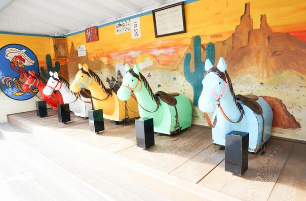 前橋るなぱあく（群馬県前橋市）昭和29年～営業中