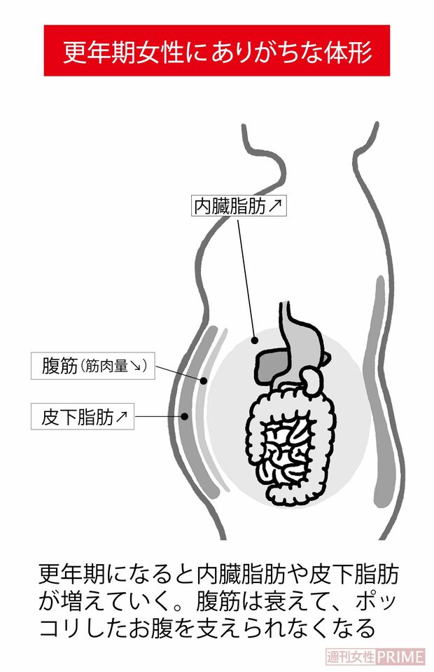 更年期女性にありがちな体形