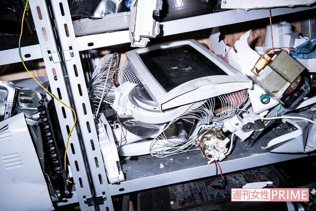 あんなものからこんなものまで、フルボッコ! 毎週日曜放送のテレビ番組『シューイチ』のロケでは、菅田将暉も訪れたとか　撮影／矢島泰輔