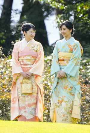 昨年の秋の園遊会は和装で臨まれた