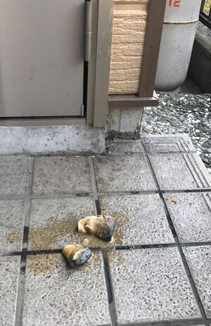 Bさん宅に投げられたサバの味噌味