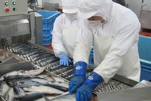 味にもこだわりぬき、改良に改良を重ねた