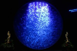 大きな水槽に幻想的なクラゲたち(加茂水族館公式Twitterより)