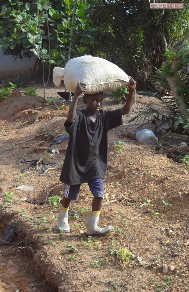 カカオ農家で働く子どもたちは、農薬の塗布や刃物の使用など身体に危険をもたらす可能性が高い仕事もさせられている