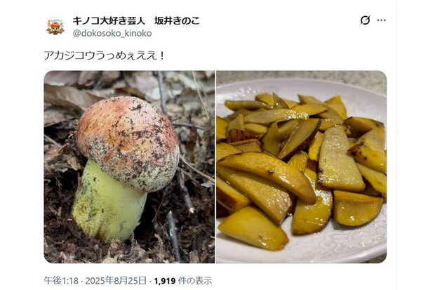 365日きのこを食べており、きのこを美味しく食べられるレシピを日々開発している（坂井きのこ公式Xより）