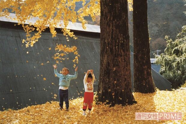 増山たづ子さんの作品