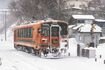 通常は2両編成で、車内にはどこか懐かしい雰囲気が漂う