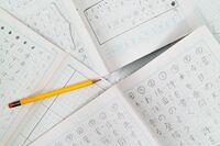 自由研究の工作代行は3万円! 夏休みの宿題代行サービスに200件超の依頼殺到中